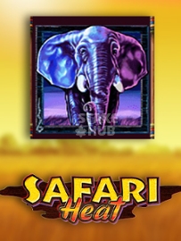 safari heat